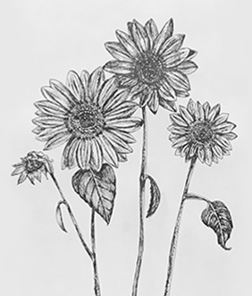 Fingers